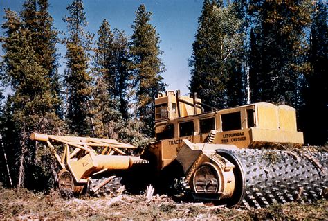 Learning From The Tree Crusher — Douglas Robb