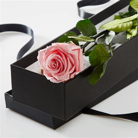 What makes a great gift in 2020, the year that just wouldn't let up? Pink Timeless Rose Stem in Gift Box | Petals and Roses