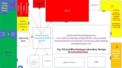 Clinical Microbiology Laboratory Design Introduction Section