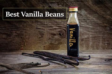Best Vanilla Beans Reviews And Buying Guide