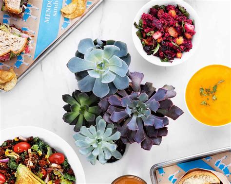 Mendocino Farms (Two Allen) Menu Houston • Order Mendocino Farms (Two