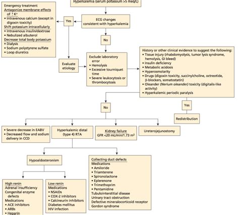 Hyperkalemia Diagnostic Algorithm Diagnosis Hyperkalemia Grepmed