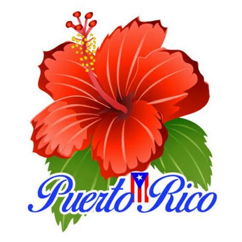 Puerto Rico Flag On Fire Sticker Decal Bandera Boricua Etsy