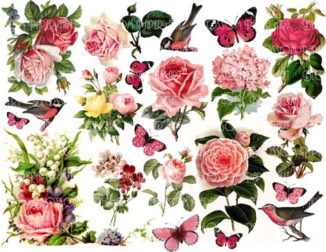 Pink Flowers Collage Sheet Digital Flowers Scrapbooking