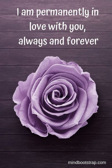 400 Best Romantic Quotes That Express Your Love With Images Most Romantic Quotes Purple