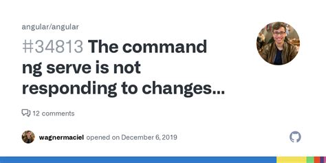 The Command Ng Serve Is Not Responding To Changes To Ng Module Issue