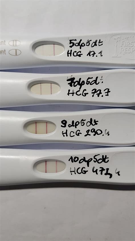 Frer Predictor Early 5 10dp5dt 10 Dpo 15 Dpo With Hcg Number