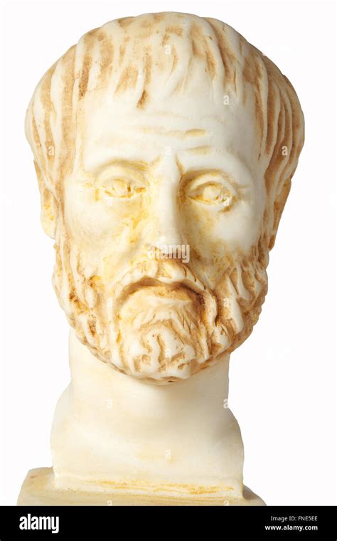 White Marble Bust Of The Greek Philosopher Aristoteles Isolated On