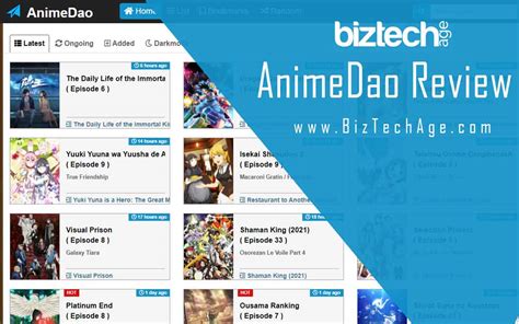 Animedao 13 Questions Answered Biztech Age