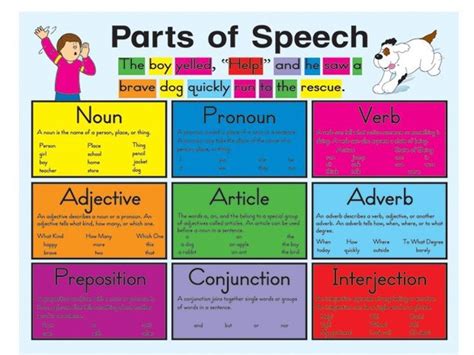 Noun, pronoun, verb, adjective, adverb, preposition, conjunction, and interjection. Parts of Speech