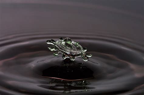 46 Unbelievable Macro Shots Of Water Splash Designbeep