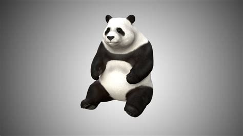 3d Panda Models Turbosquid