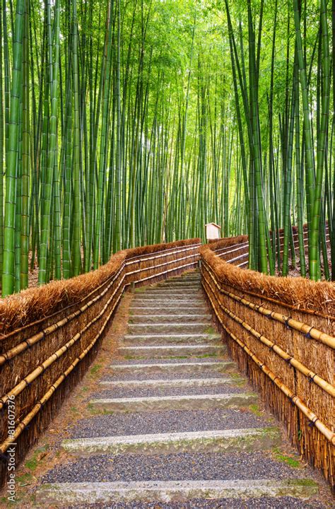 Wall Murals Path To Bamboo Forest Arashiyama Kyoto Japan Nikkel Art