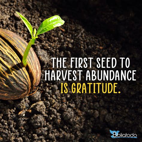 The First Seed To Harvest Abundance Is Gratitude Christian Pictures