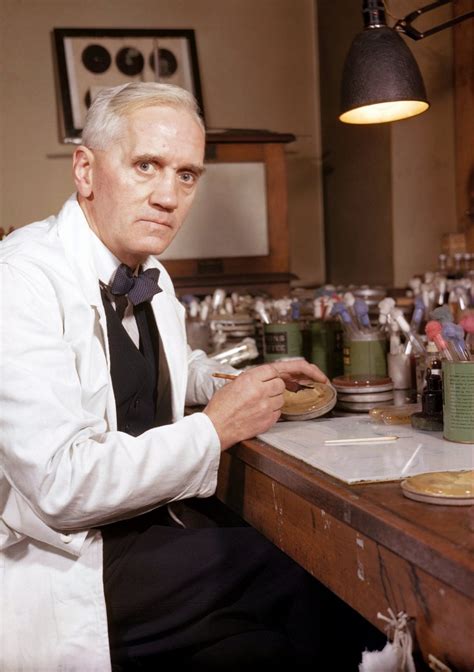 How Penicillin Was Discovered And How Wwii Let This Miracle Drug Reach