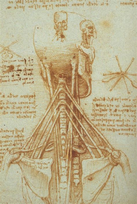 Mas Historia Leonardo Da Vinci