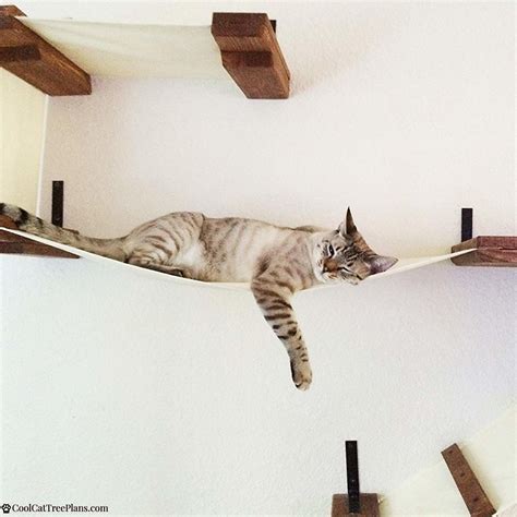 A Good Sized Double Decker Cat Wall Shelf For Your Cats To Lounge And