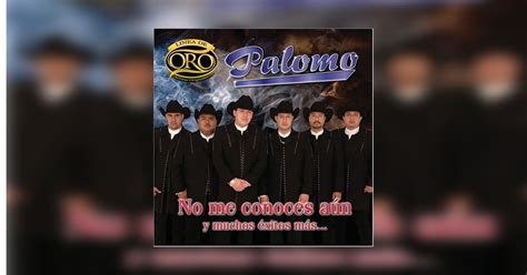 Grupo Palomo No Me Conoces Aún Letra Y Video Oficial