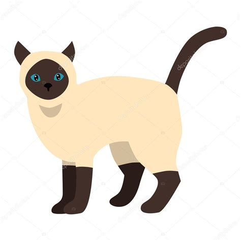 Siamese Cat Cartoon Characters Cartoon Vector Siamese Cat Character