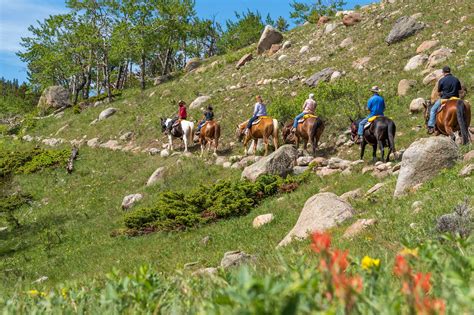 Estes Park Rocky Mountain National Park Horseback Trail Riding