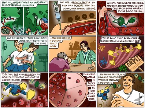 Check spelling or type a new query. New way to harvest stem cells better for donors - CSIRO