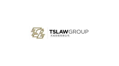 Ts Law Group Corporate Profile Youtube