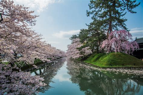 Japan news and japanese national, crime, entertainment, politics, business, technology, sports stories in english. Visit Aomori in Japan with Cunard