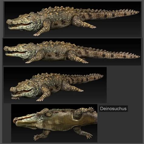 Deinosuchus Dinosaurs Pictures And Facts