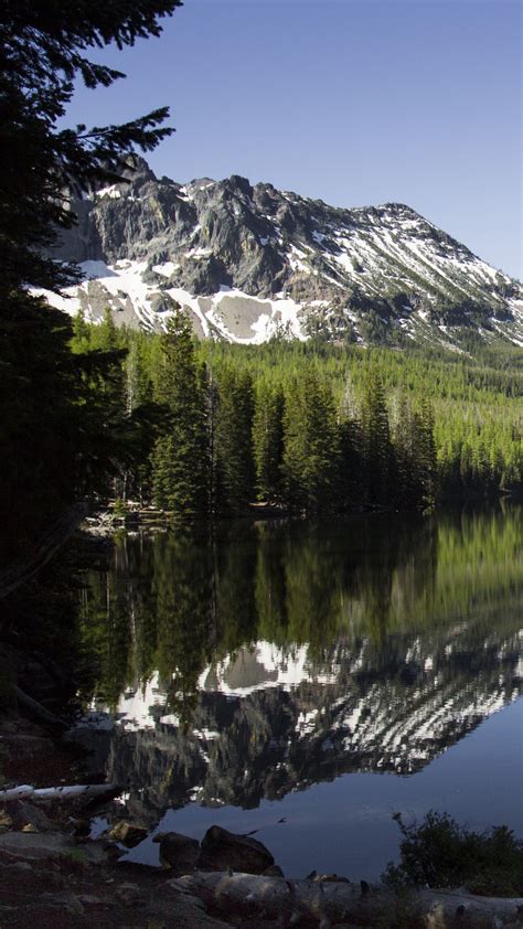 Download Wallpaper 1350x2400 Lake Mountains Trees Spruce Landscape Reflection Iphone 87