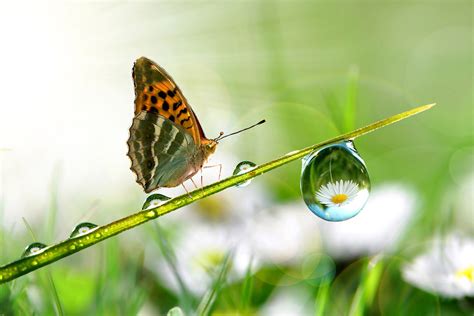Conoce los detalles sobre esta fecha y el día correspondiente en el año 2020 día en que se busca crear conciencia sobre el cuidado del medio ambiente y el desarrollo sostenible. XX Jornadas Internacionales en Derecho del Medio Ambiente ...