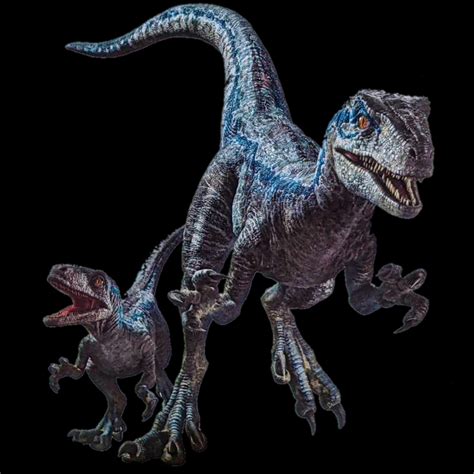 Jurassic World Dominion Blue Beta Velociraptor Realbig Officially