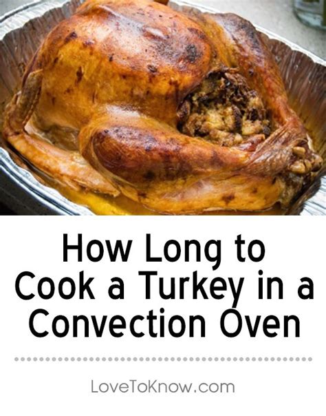 How Long To Cook A Turkey In A Convection Oven Artofit