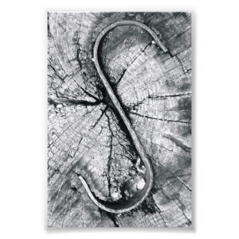Alphabet Letter Photography S2 Black And White 4x6 Photo Print