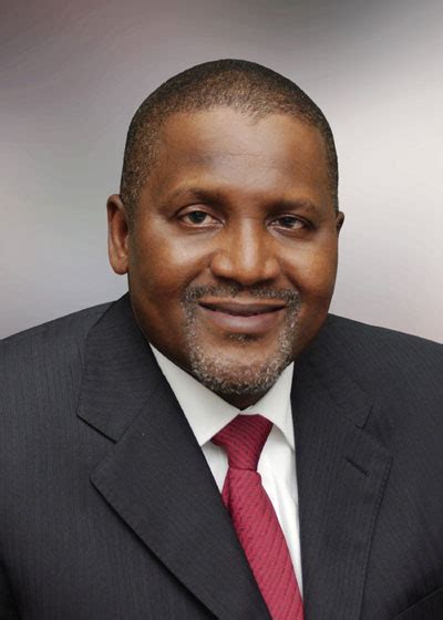 Dangote investment takes shape | The Sunday Mail