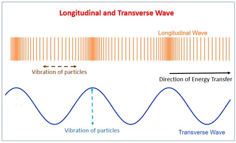 In transverse waves, the particle movement is perpendicular to the direction of wave propagation. Transverse and Longitudinal Waves (examples, solutions ...