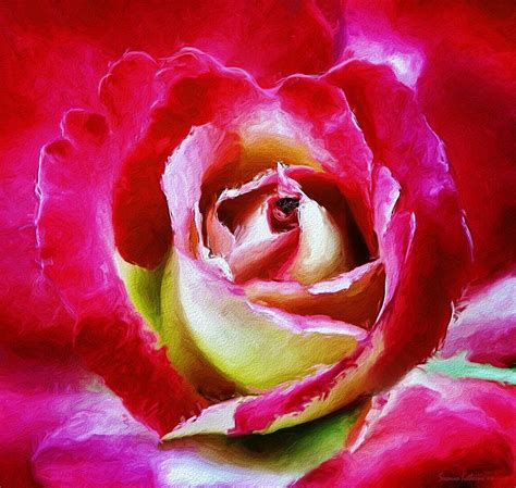 Red Rose I Love You In Center Painting By Susanna Katherine Fine Art