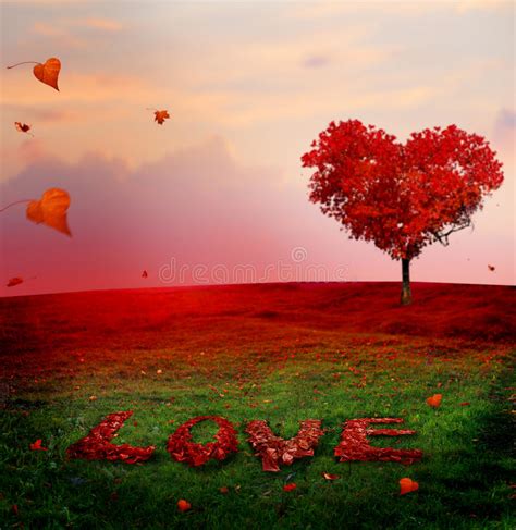 Tree Of Love In Autumn Red Heart Shaped Tree At Sunsetautumn S Stock