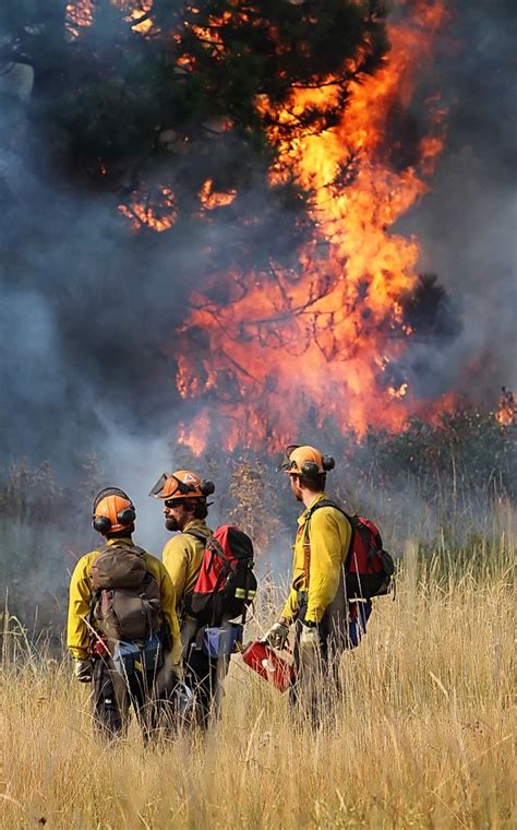 Strong winds, coupled with hot dry weather, have fanned hundreds of bushfires across the province in recent weeks, bringing firefighters out to control the flames. Table Mountain Fire Sept. 21 | Table Mountain Fire Photos ...