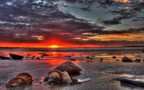 Amazing Beach Beautiful Sunset Nature Beaches Hd Desktop Wallpaper