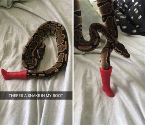 Theres A Snake In My Boot Aww