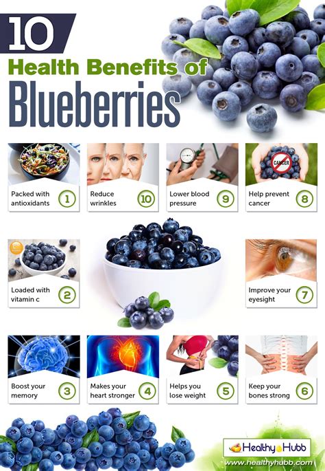 Fruit Blueberry Benefits Health Benefits