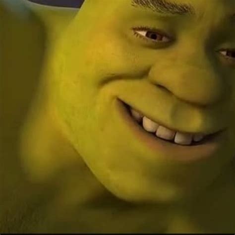 Shrek Is Love Shrek Is Life Mahadesignstudio