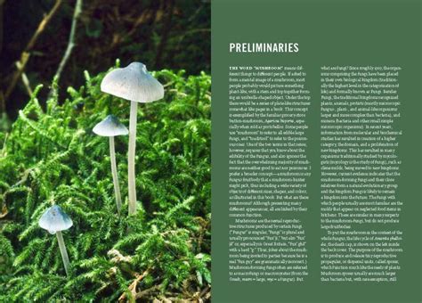 Mushrooms Of The Pacific Northwest Nhbs Field Guides And Natural History