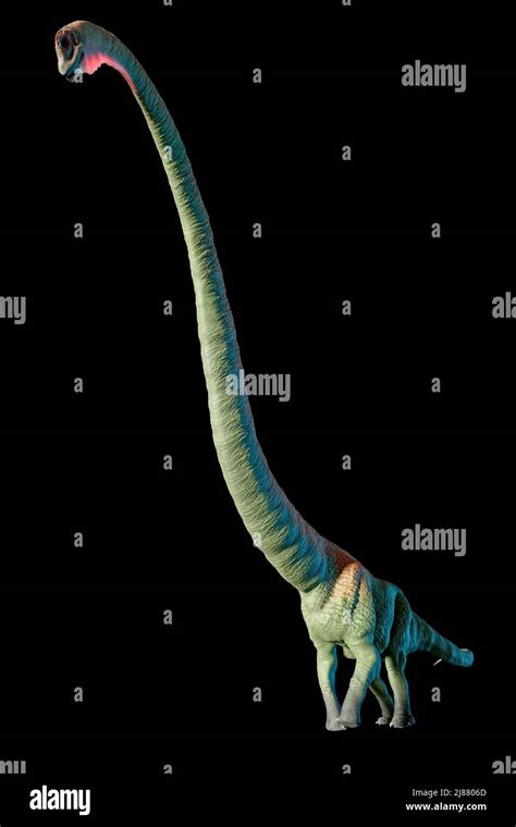Artwork Of Mamenchisaurus Stock Photo Alamy