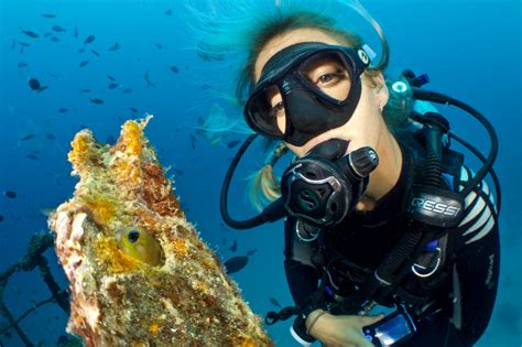 Scuba Diving — Discount Key West