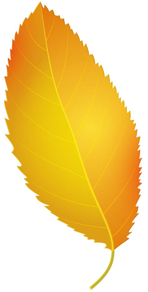 Leaf On Web Clipart 20 Free Cliparts Download Images On Clipground 2024
