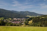 BERGFEX: Panoramakarte Elzach: Karte Elzach - Alm - Elzach