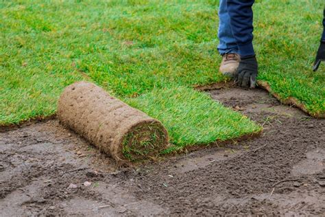 How To Take Care Of Your New Sod Lawn Able Ag