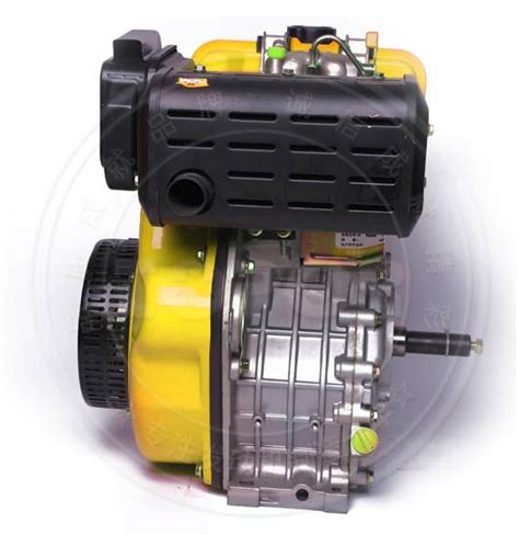 China Single Cylinder Vertical 4 Stroke Direct Diesel Engine China