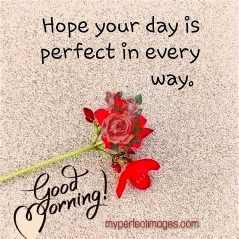 Good Morning 2020 Images Download Happy Morning Quotes Cute Good